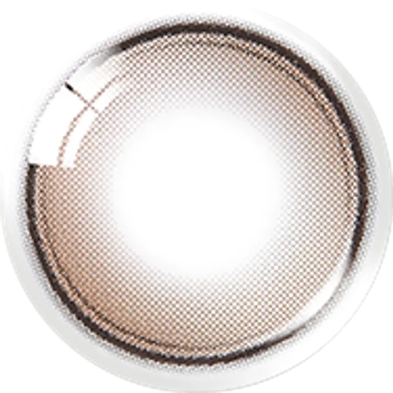 글로이티어 미니 브라운(2P)